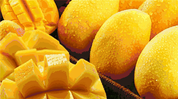 1.gif